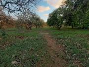 Casa en venta en Utrera, Pedanías Norte. PARCELA DE 12...