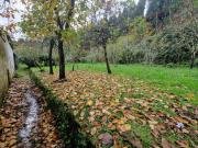Casa en venta en Valdoviño. CASA EN PANTIN VALDOVIÑO. Casas.