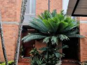 casa en venta en valle del lili. Cod V17791