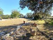 Casa en venta en Valverde de Mérida. Casas Valverde de.