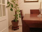 Casa en venta en Vejer de la Frontera, Vejer. Casa en...