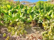 Casa en venta en Vélez Málaga, Camino Viejo de Málaga....