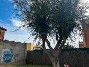 Casa en venta en Viladecans, Torrent Ballester.. Casas.