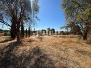 Casa en venta en Chinchón. Dos viviendas, un solo sueño...