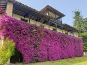 Casa en venta en Villaviciosa, Asturias Costa Verde