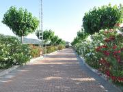 Casa en venta en Villena, La Paz. Casas.