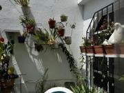 CASA EN VENTA EN XALAPA VERACRUZ