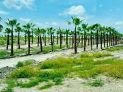 Casa en Venta en Xochitepec