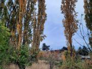 Casa en venta en YUMBEL