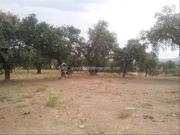 Casa en venta en Zarza de Montánchez. Casa de campo en...