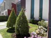 Casa en venta en Zona Plateada, Pachuca de Soto, Hidalgo