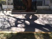 Casa en Venta Fracc. Chapalita $10,500,000