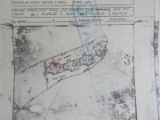 Casa en Venta, Fraccionamiento Burgos, con jardín privado