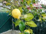 Casa en venta Gijón