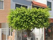 CASA EN VENTA LA CRUZ GDL JALISCOI ¡REMATE, YA ADJUDICADA!