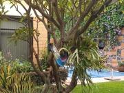 Casa en Venta Las Fincas Jiutepec $4&apos 300,000