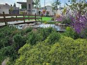 Casa en Venta Metepec Residencial Albatros Casa en Venta Metepec Residencial Albatros