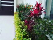 Casa en venta para inversión en Santa Rosa de Lima