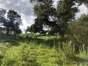 Casa en venta Plasencia