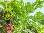 Casa en venta Puerto Aventuras