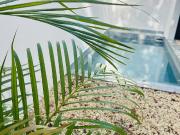 casa en venta residencial arbolada cancún a estrenar en...