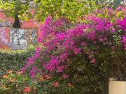 CASA EN VENTA SAN ÁNGEL INN