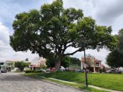 CASA EN VENTA SANTA ANITA, COTO LOS NARANJOS