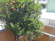 Casa en venta en Bosques de México, Tlalnepantla de Baz,...