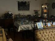 Casa en venta, se vende como terreno en la Colonia Álamos