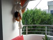 CASA EN VENTA SECTOR CORPIVOL