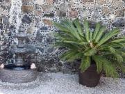 casa en venta Tepoztlán, Modelos $4,500,000.00