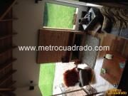 Casa en Venta y Arriendo, san simon, Bogotá D.C