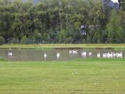 Casa en Venta y Arriendo, SAN SIMON GUAYMARAL, Bogotá D.C