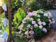 Casa en Viña del Mar