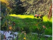 Casa en Viña del Mar
