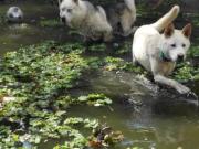 Casa en Yautepec excelente inversion!