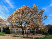 Casa Esquina en Isla Teja, Oportunidad Comercial