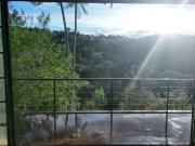 Casa Estilo Galpão com Vista Permanente para a Mata e...