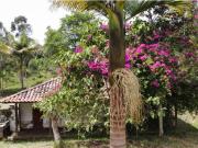 casa finca campestre en venta carmen de Viboral 3, 160 m2 YT