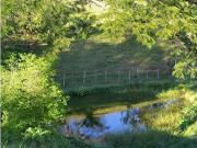 CASA FINCA EN ARRIENDO O VENTA VIA MONTERIA PLANETA RICA