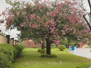 Casa con 5 recámaras en venta, 468 m² superficie de...