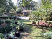 Casa ideal para negocio | Vista Hermosa