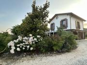 Casa in affitto