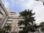 Casa in affitto Via Tolmezzo, Udine rif. 1/2026