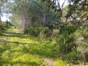 Casa indipendente 216mq