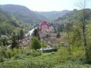 Casa indipendente 25 vani 590mq