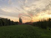 Casa Indipendente 9 vani 277mq