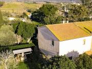 Casa indipendente a Capalbio, con terreno e uliveto...