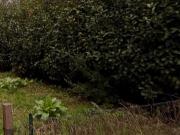 Casa indipendente arredata in affitto a Sarzana