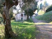 Casa indipendente con box doppio in traversa ii 77, Lucca